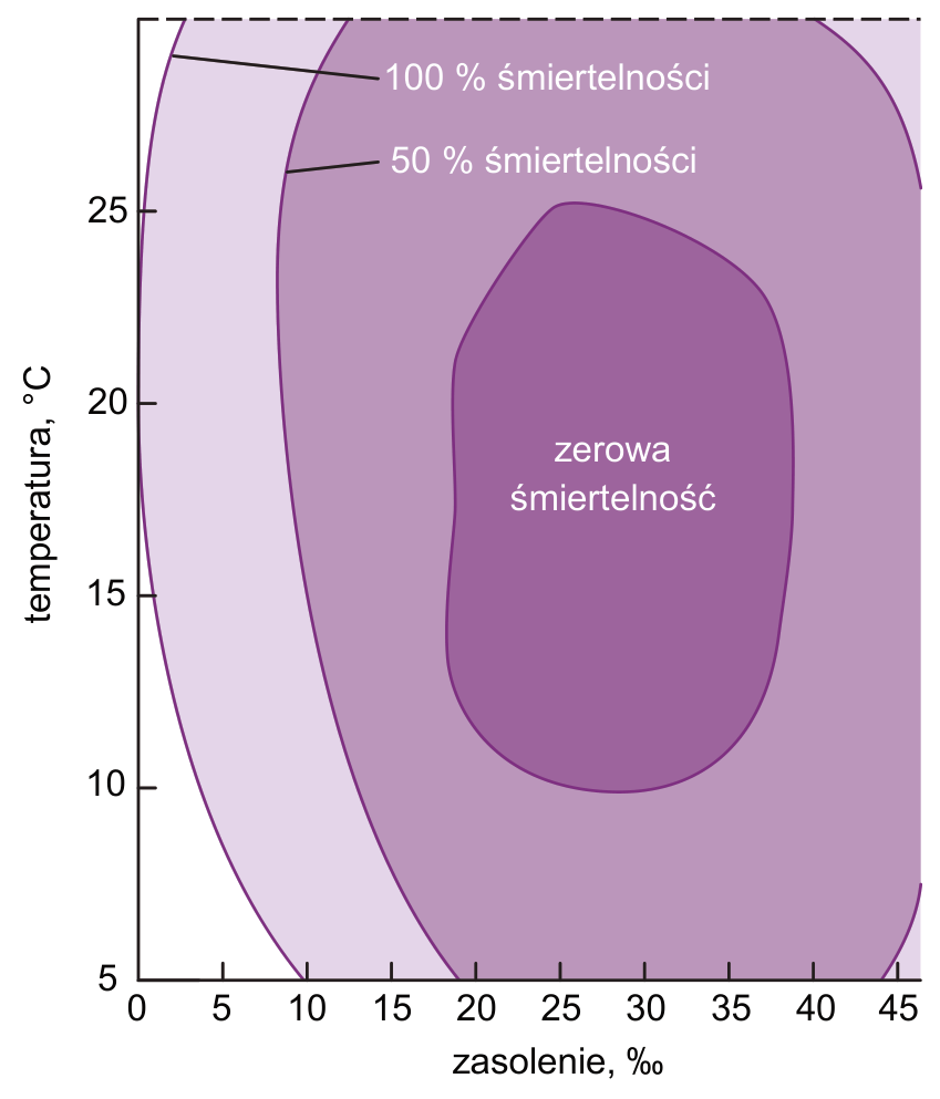 Wykres śmiertelności samic krewetki piaskowej w zależności od temperatury (°C) i zasolenia (‰); obszary oznaczone jako 100 % śmiertelności, 50 % śmiertelności i zerowa śmiertelność.