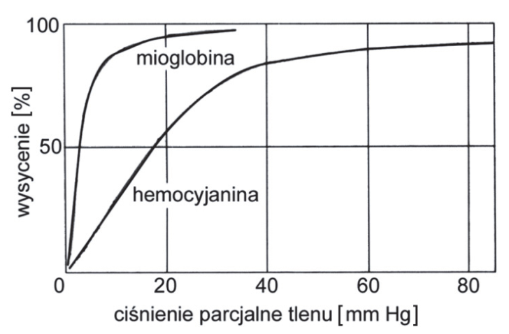Wykresy wysycenia mioglobiny i hemocyjaniny w zależności od ciśnienia parcjalnego tlenu, z osiami, jednostkami i oznaczeniami krzywych.
