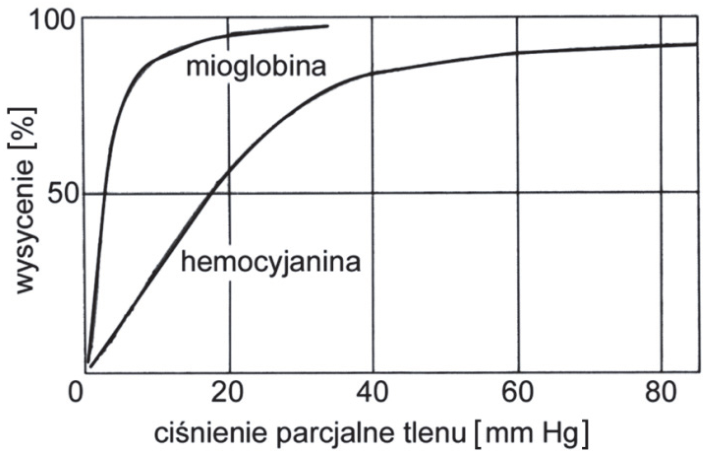 Wykresy krzywych dysocjacji hemocyjaniny i mioglobiny. Oś pozioma: ciśnienie parcjalne tlenu [mm Hg]. Oś pionowa: wysycenie [%].