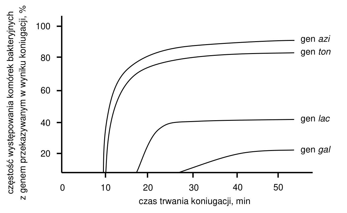 Wykres częstości występowania komórek bakteryjnych z genem przekazanym w wyniku koniugacji (%) w zależności od czasu trwania koniugacji (min), z krzywymi dla genów azi, ton, lac i gal.