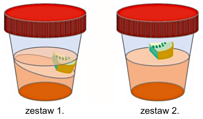 Rysunki pojemników z wynikami doświadczenia, podpisane „zestaw 1.” i „zestaw 2.”.