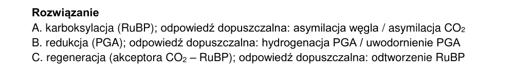 Oficjalna odpowiedź i zasady oceniania CKE, zadanie 5.1