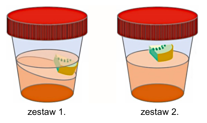 Rysunki pojemników oznaczonych „zestaw 1.” i „zestaw 2.”, przedstawiające stan galaretki z fragmentem kiwi po kilku godzinach.