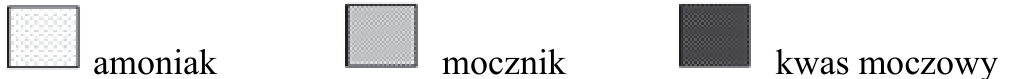 Trzy oznaczenia graficzne produktów przemiany materii wraz z etykietami: amoniak, mocznik, kwas moczowy.