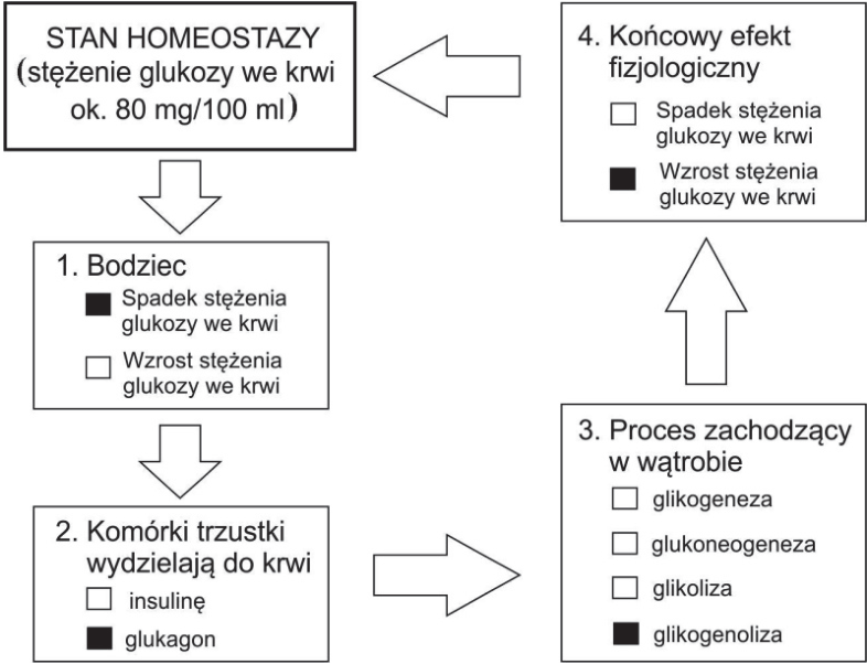 Schemat odpowiedzi z zaznaczonymi odpowiedziami w czterech ramkach