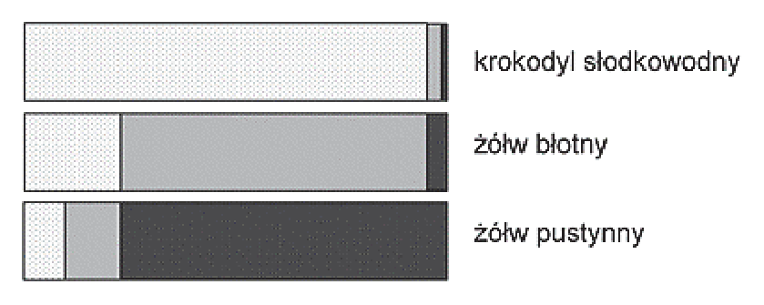 Diagram procentowej zawartości trzech azotowych produktów przemiany materii w moczu krokodyla słodkowodnego, żółwia błotnego i żółwia pustynnego.