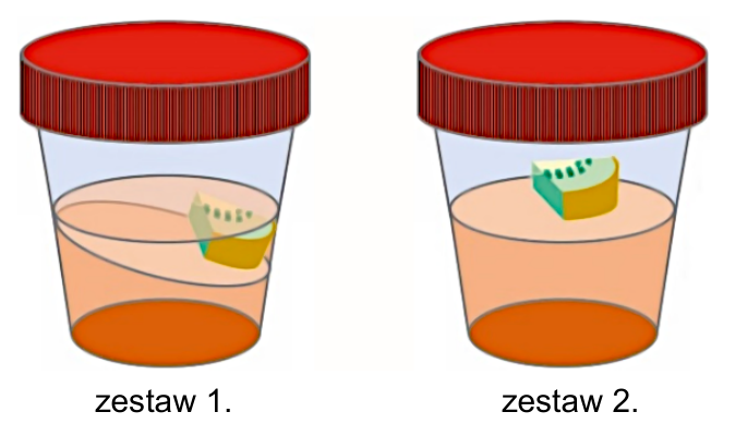 Rysunki pojemników z galaretką i kiwi, oznaczone „zestaw 1.” i „zestaw 2.”