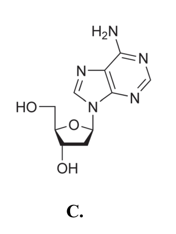 Wzór strukturalny nukleozydu C
