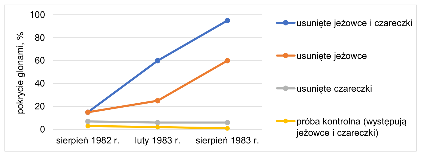 Wykres pokrycia glonami (%) w sierpniu 1982 r., lutym 1983 r. i sierpniu 1983 r.; legenda: usunięte jeżowce i czareczki, usunięte jeżowce, usunięte czareczki oraz próba kontrolna (występują jeżowce i czareczki).