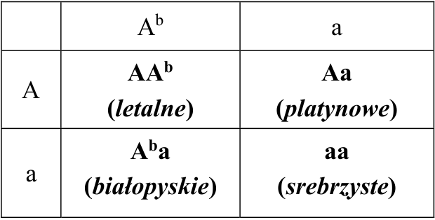 Krzyżówka genetyczna z genotypami i fenotypami potomstwa